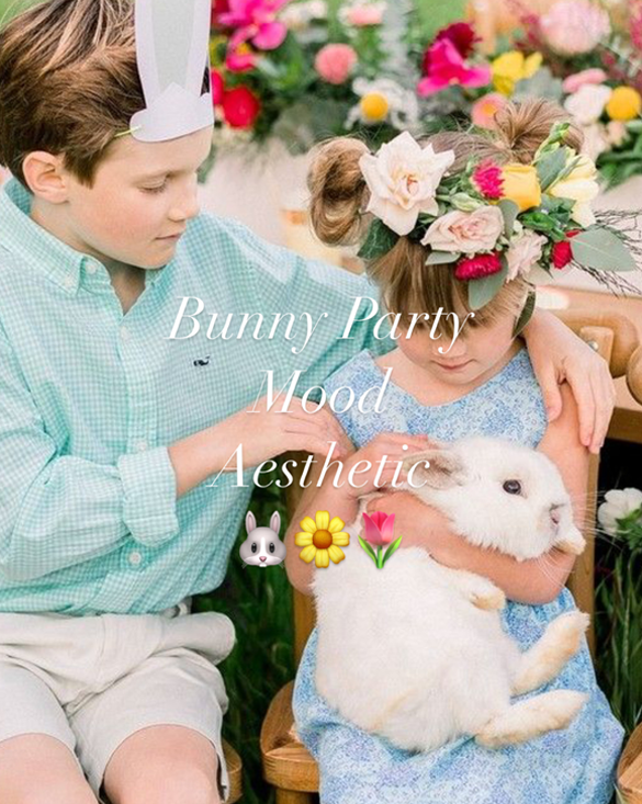 Bunny Party Mood Aesthetic
